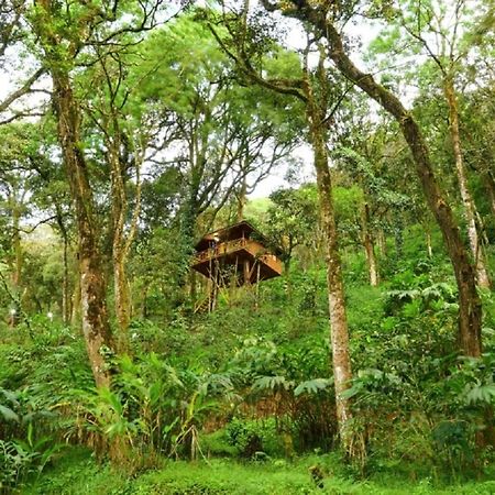 Seven Springs Resort Munnar Luaran gambar
