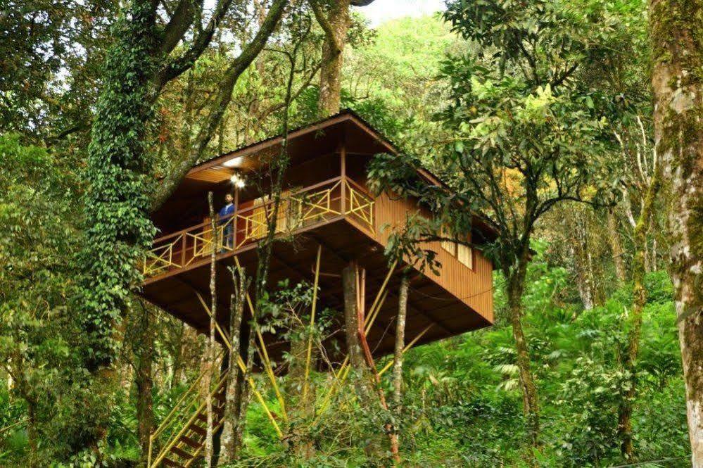 Seven Springs Resort Munnar Luaran gambar